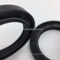 Standard/Nonstandard Rotary Oil Seal Double Lip Skeleton Rubber Oil Seal with Double Spring